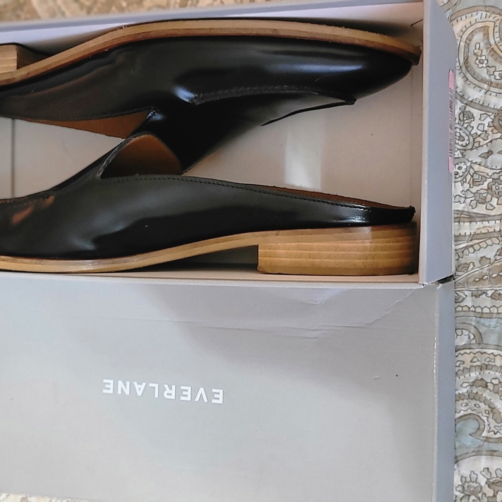 Everlane Black Flats with Pointed Toe and Minimalist Design